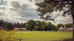 Image result for Frensham Cricket Club