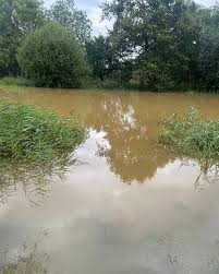 Image result for Grendon Lakes, Northants