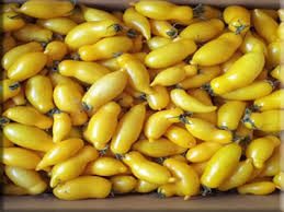 Afbeeldingsresultaat voor banana legs tomato