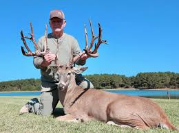 Image result for Big Bucks High Rollers