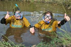 Image result for Bog Snorkelling Championships