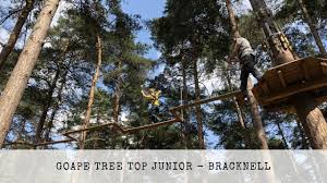 Image result for The Go Ape Experience (Swinley Forest)