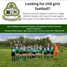 Image result for Tingley Athletic