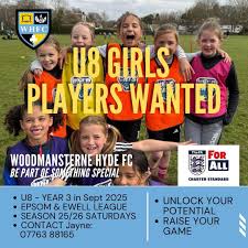 Image result for Woodmansterne Sports Fc