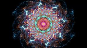 Image result for life flower