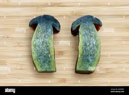 Attēlu rezultāti vaicājumam “Sutorius luridiformis”