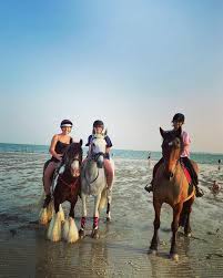 Image result for Lower Farm Stables