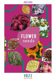 Attēlu rezultāti vaicājumam “Erysimum hieracifolium fruit”