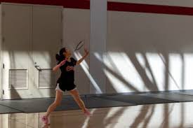 Image result for Fylde Ivc Badminton Club