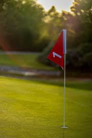 Image result for Palewell Pitch & Putt Golf Club