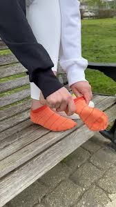 Image result for Peper Harow Cricket Club