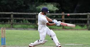 Image result for Bere Regis Cricket Club