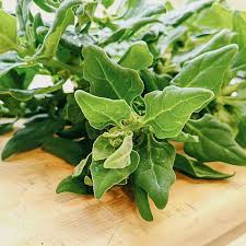 Image result for Neuseeländer Salat