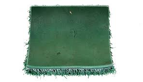 Image result for Astroturf