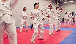 Image result for Bracknell Bytomic Taekwondo