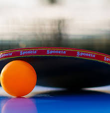 Image result for Limpsfield Badminton Club