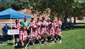 Image result for Lochcarron Camanachd