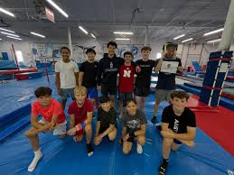Image result for York University Gymnastics Club