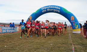 Image result for Horwich Rmi Harriers & Athletics Club