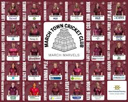 Image result for March Town Cricket Club