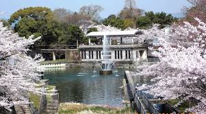 Image result for Blossom Way Bowls Club