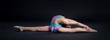 Image result for York University Gymnastics Club