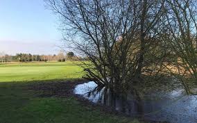 Image result for South Kyme Golf Club