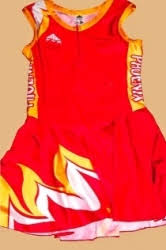 Image result for Phoenix Netball Club