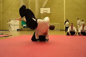 Image result for Mirfield Martial Arts Club