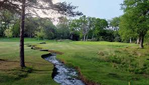 Image result for Brokenhurst Manor Golf Club