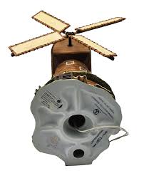 Image result for Freckleton Cc