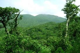 Image result for синхараджа