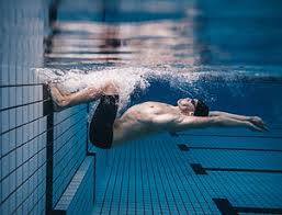 Image result for Loftus Dolphins Swimming Club