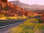 Nevada: Valley of Fire State Park - The Free Information Society