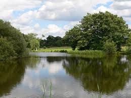 Image result for Billingbear Park Golf Club
