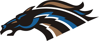 Image result for Swan`s Hockey Club