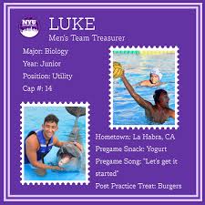 Image result for York University Swimming & Water Polo Club