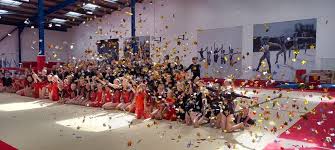 Image result for Redcar School Of Gymnastics