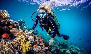 Image result for Duchy Divers