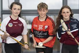 Image result for Causeway Hurling Club