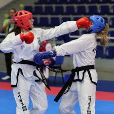 Image result for London Colney Tae Kwon Do  (I.T.F. / LTSI / A.F.T.)