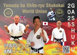 Image result for Seiki Juku Karate Organisation