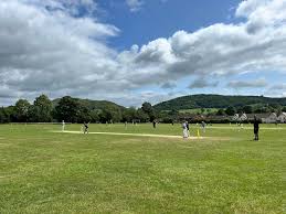 Image result for Stretton Cricket Club