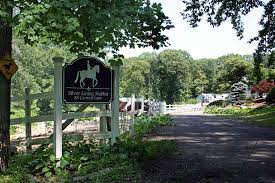 Image result for Carman Stables