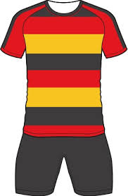 Image result for Bridgwater & Albion RFC