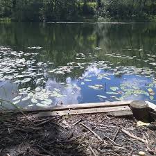Image result for Cobham Court Angling Club