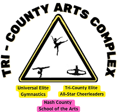 Image result for Border Counties School Of Gymnastics