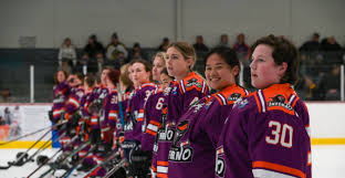 Image result for Perth Junior Ice Hockey Club