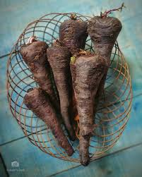 Attēlu rezultāti vaicājumam “Daucus sativus”