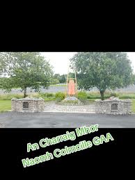 Image result for St Colmcilles Grange G F C